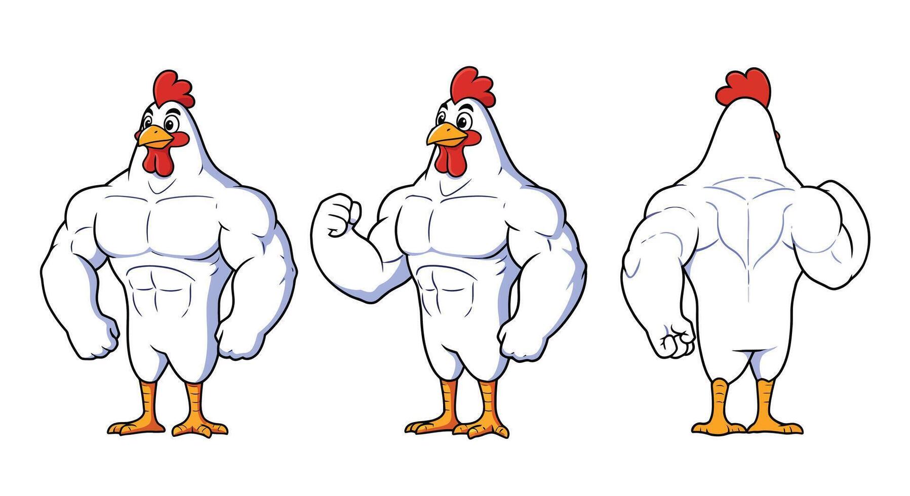 Muscular chicken character design in flat style showing three angles illustration vector