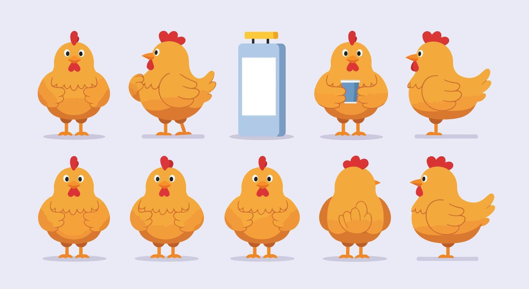 Chicken character transformation in flat style illustration with playful expressions and props vector