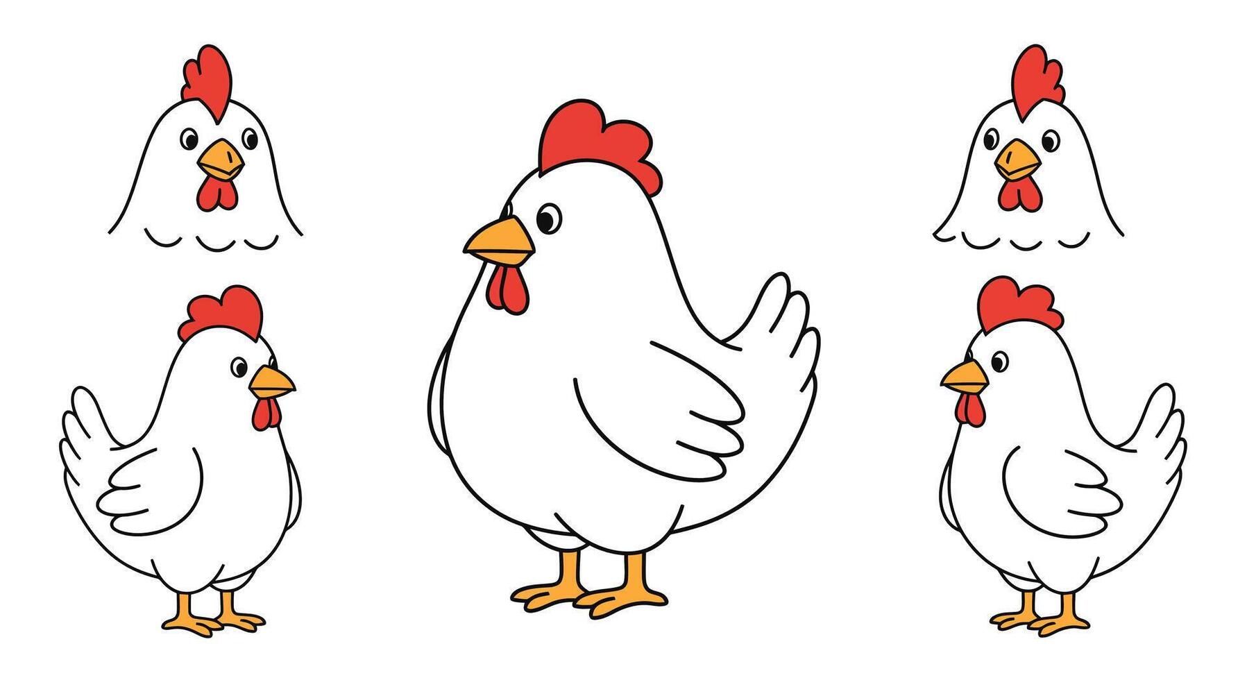 Chicken character transformation from small to large in flat illustration vector