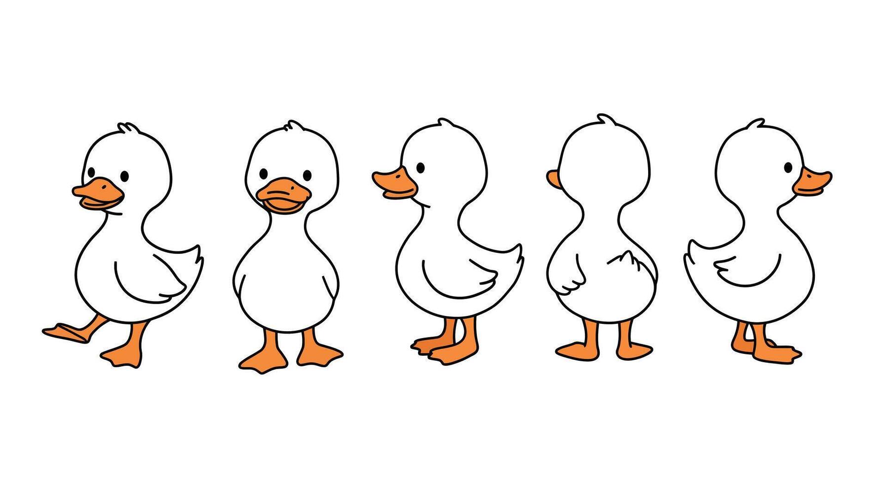 Walking duck animation frames in flat design style illustration vector