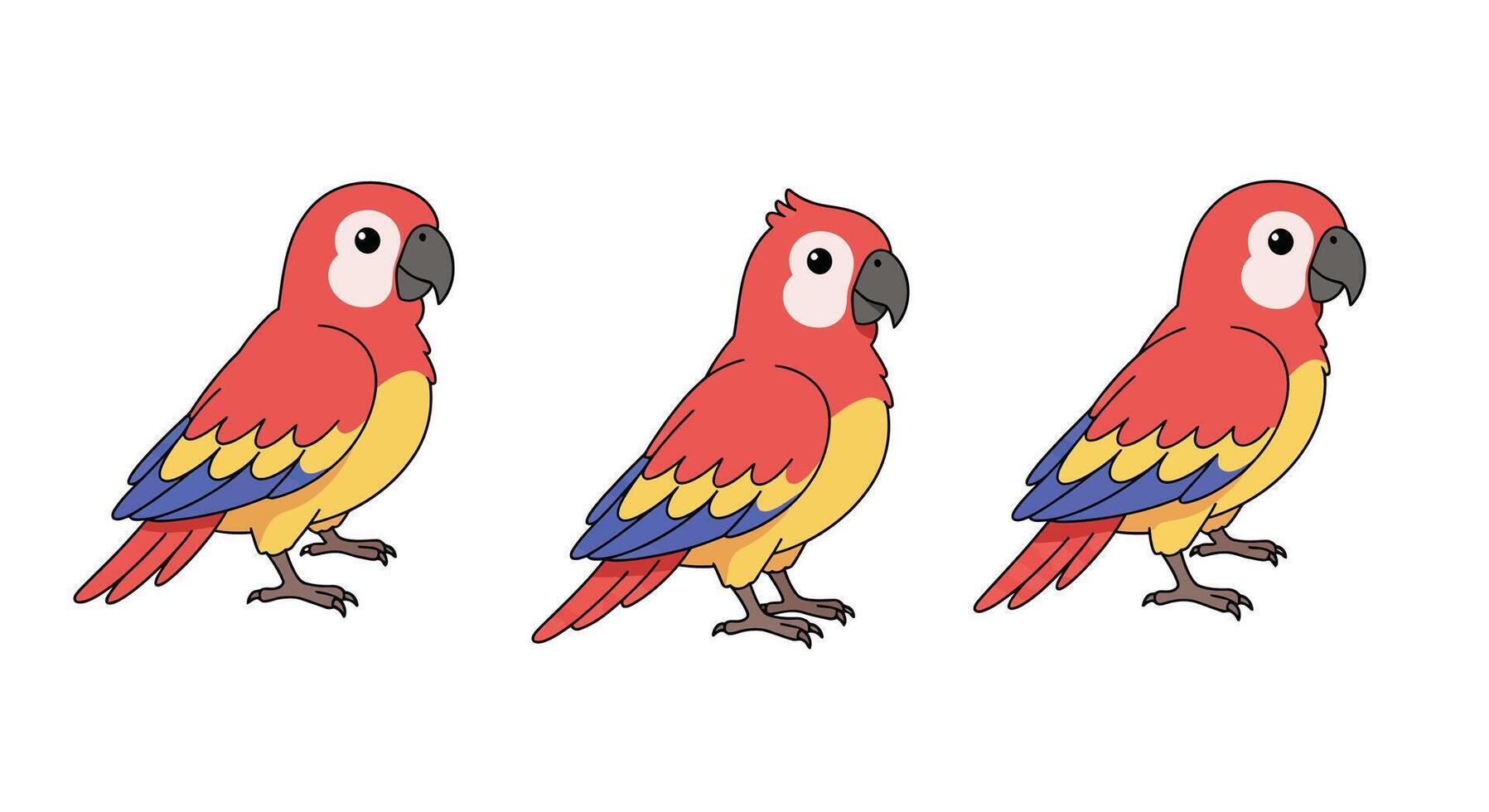 Colorful parrot character design in flat style showcasing three poses illustration vector