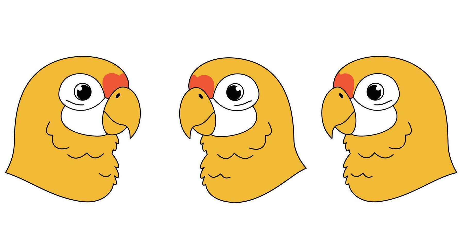 Colorful cartoon parrot head transitions in flat design style illustration vector