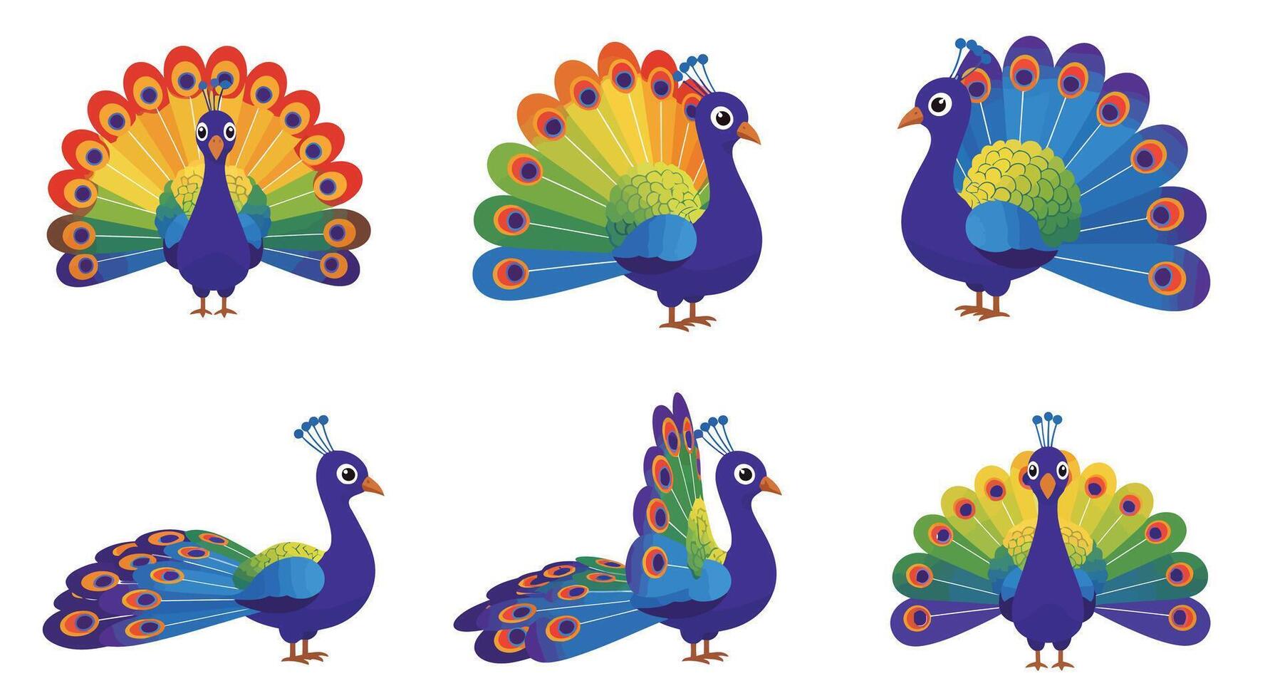 Colorful peacock displaying feathers in flat design style illustration vector