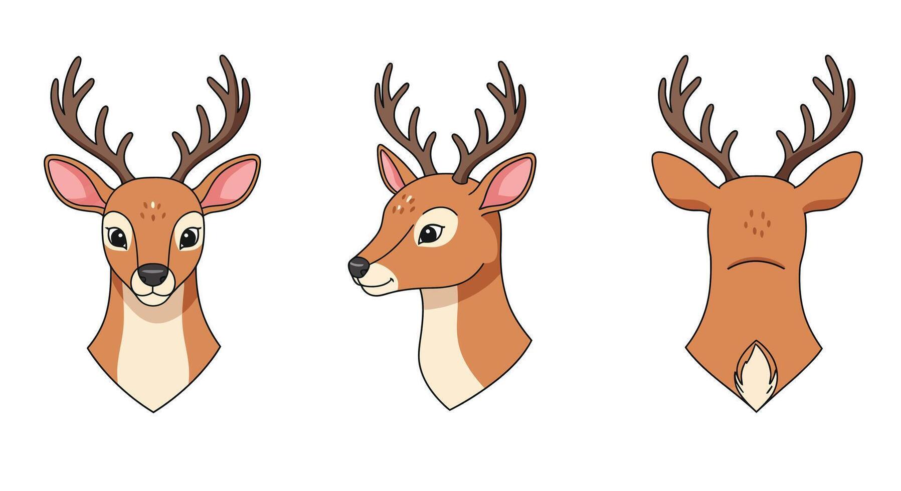 Detailed deer head illustration in flat style showcasing different angles in art vector