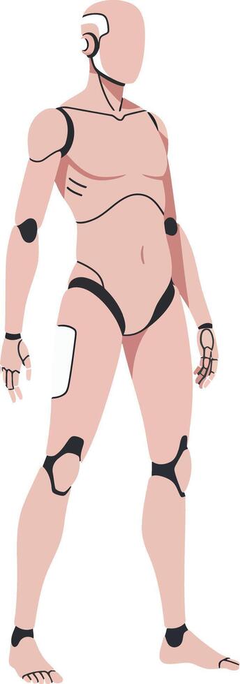 Human anatomy model in a standing pose, minimal design, detailed joints illustration vector