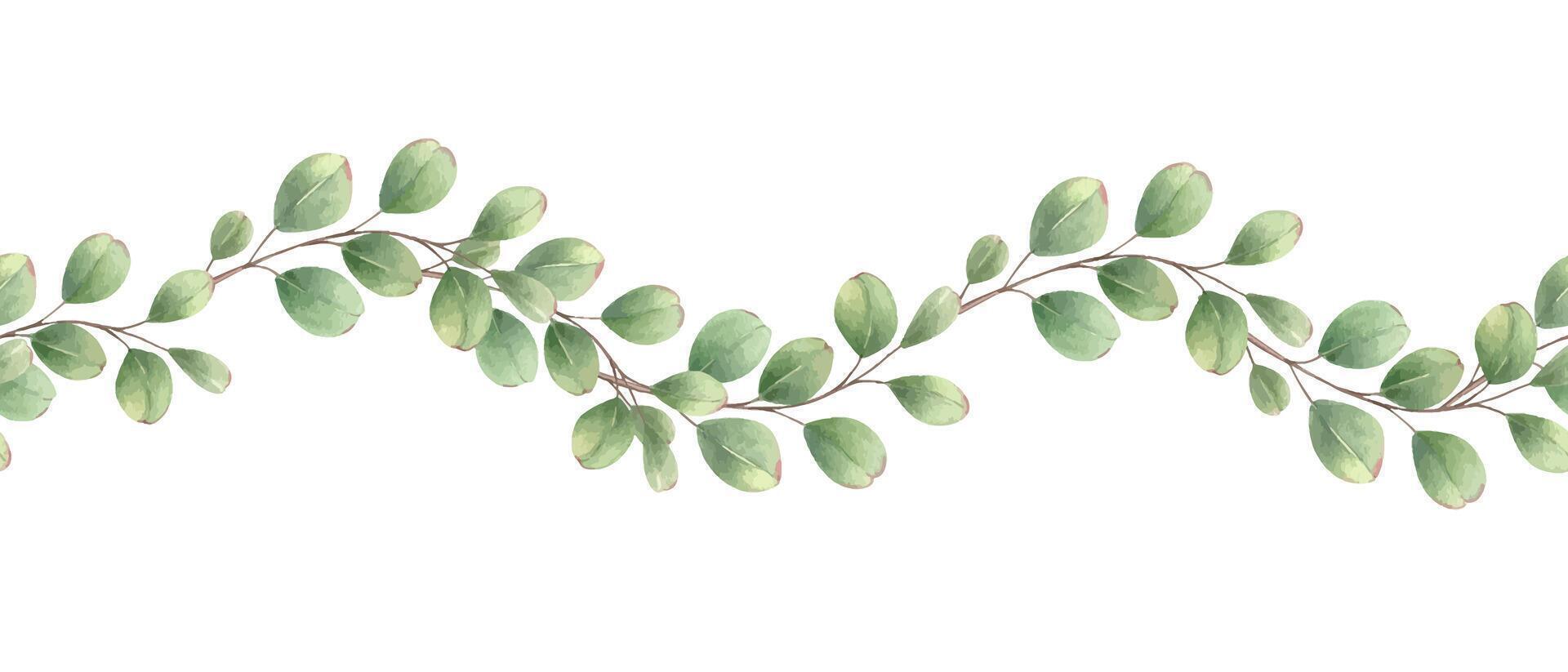 Horizontal seamless banner with hand painted eucalyptus branches in watercolor. Floral garland isolated background. For essential oil labels, diffuser packaging, or spa relaxation guide, fitness app vector