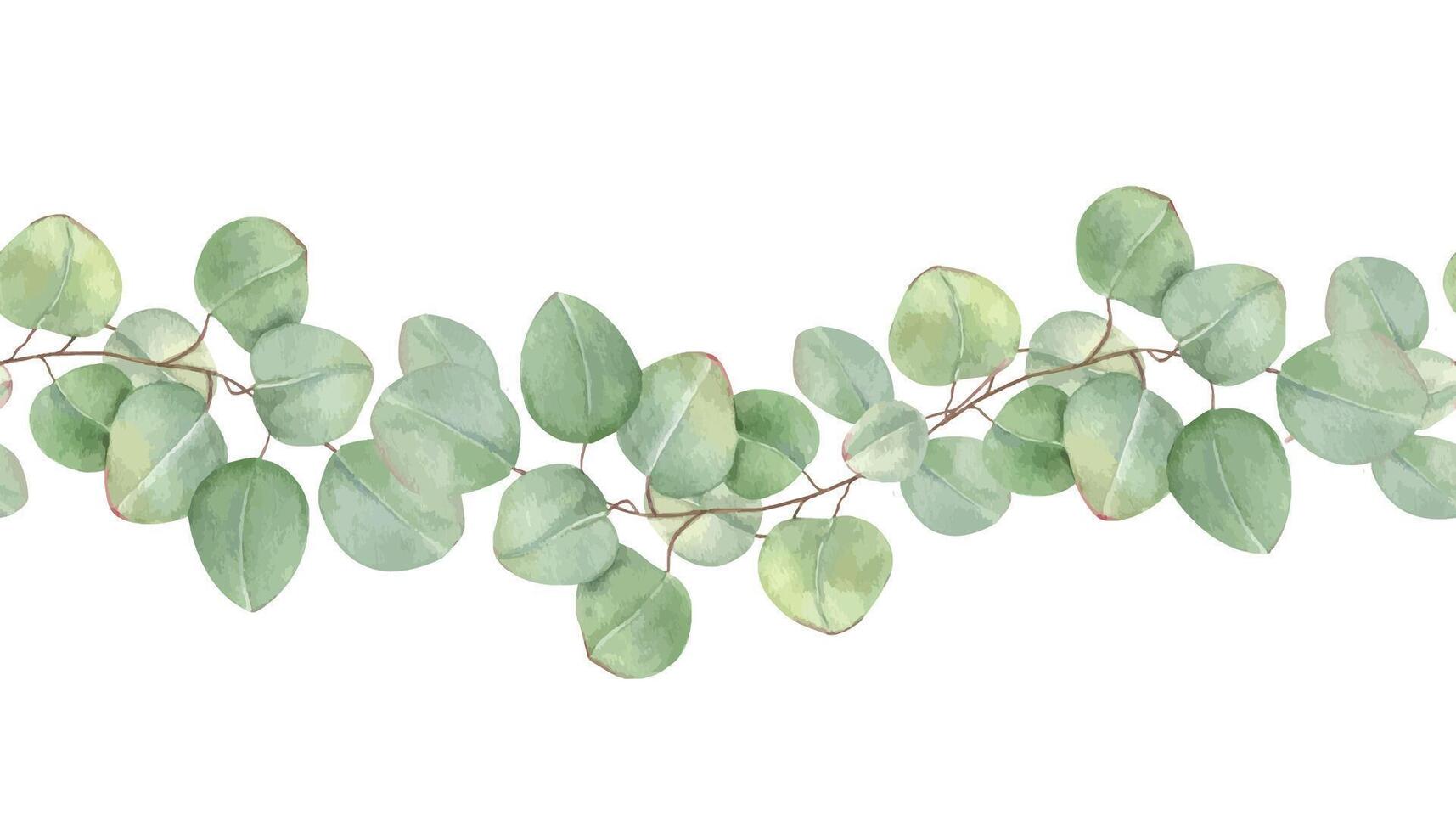 Green eucalyptus branches horizontal seamless watercolor banner isolated background. Hand painted botanical greenery for spa design, herbal medicine, interior decor, wedding invitations, textile vector