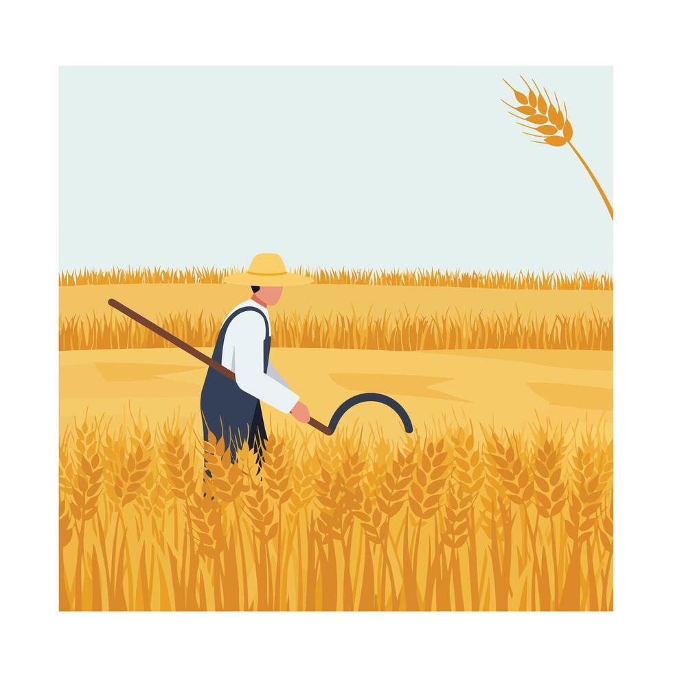 Farmer harvesting wheat in golden field using a sickle flat art vector