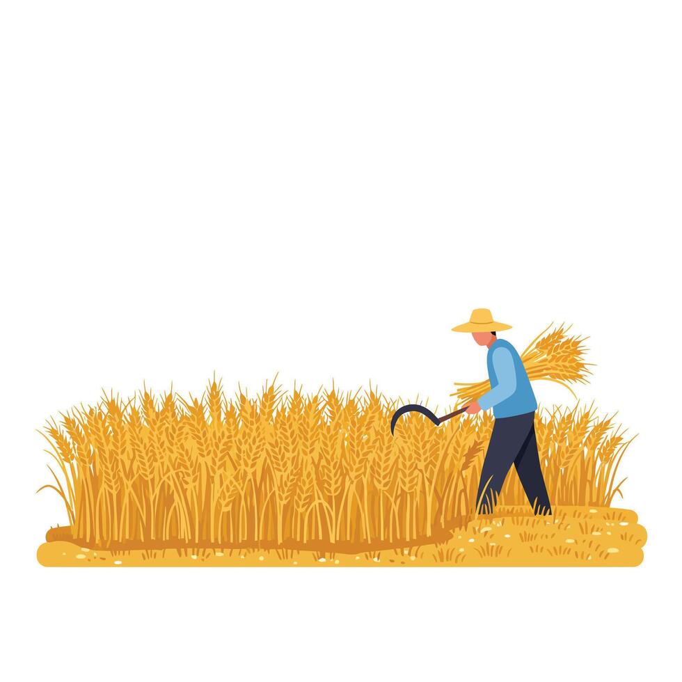 Farmer harvesting wheat in golden fields with flat design art vector