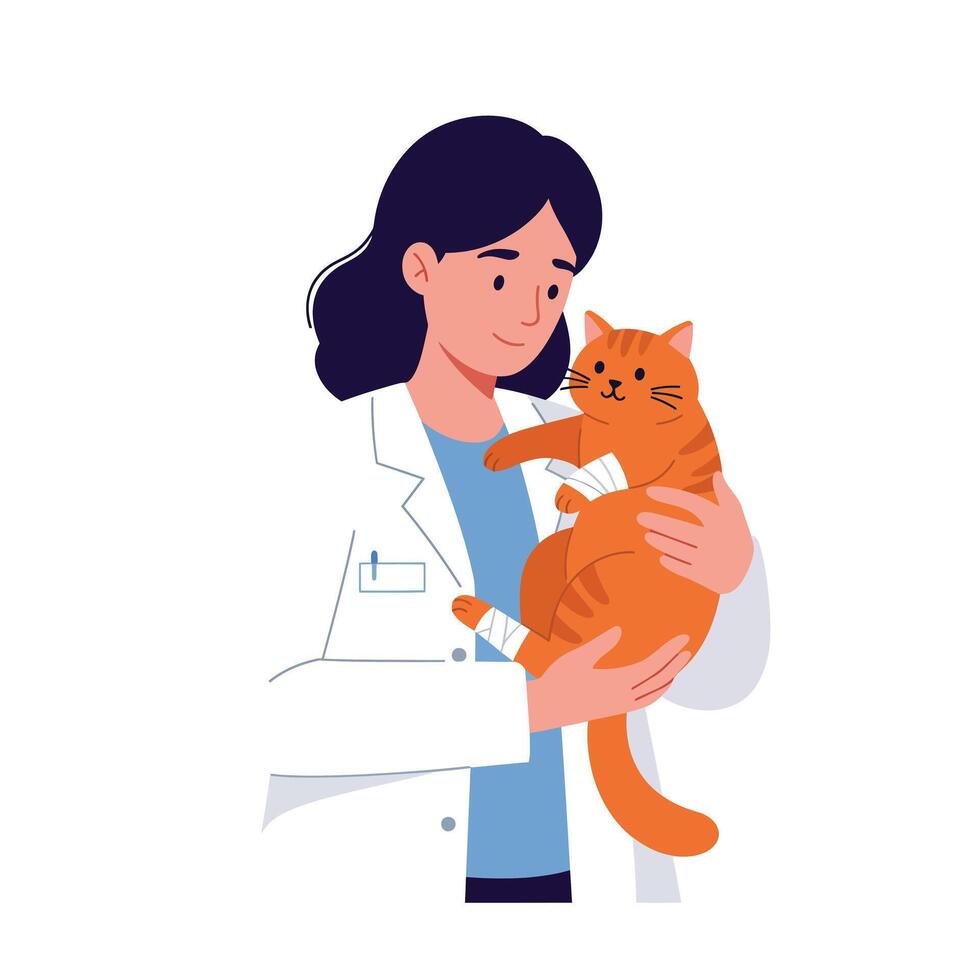 Caring veterinarian holding a healed orange cat in minimal art vector