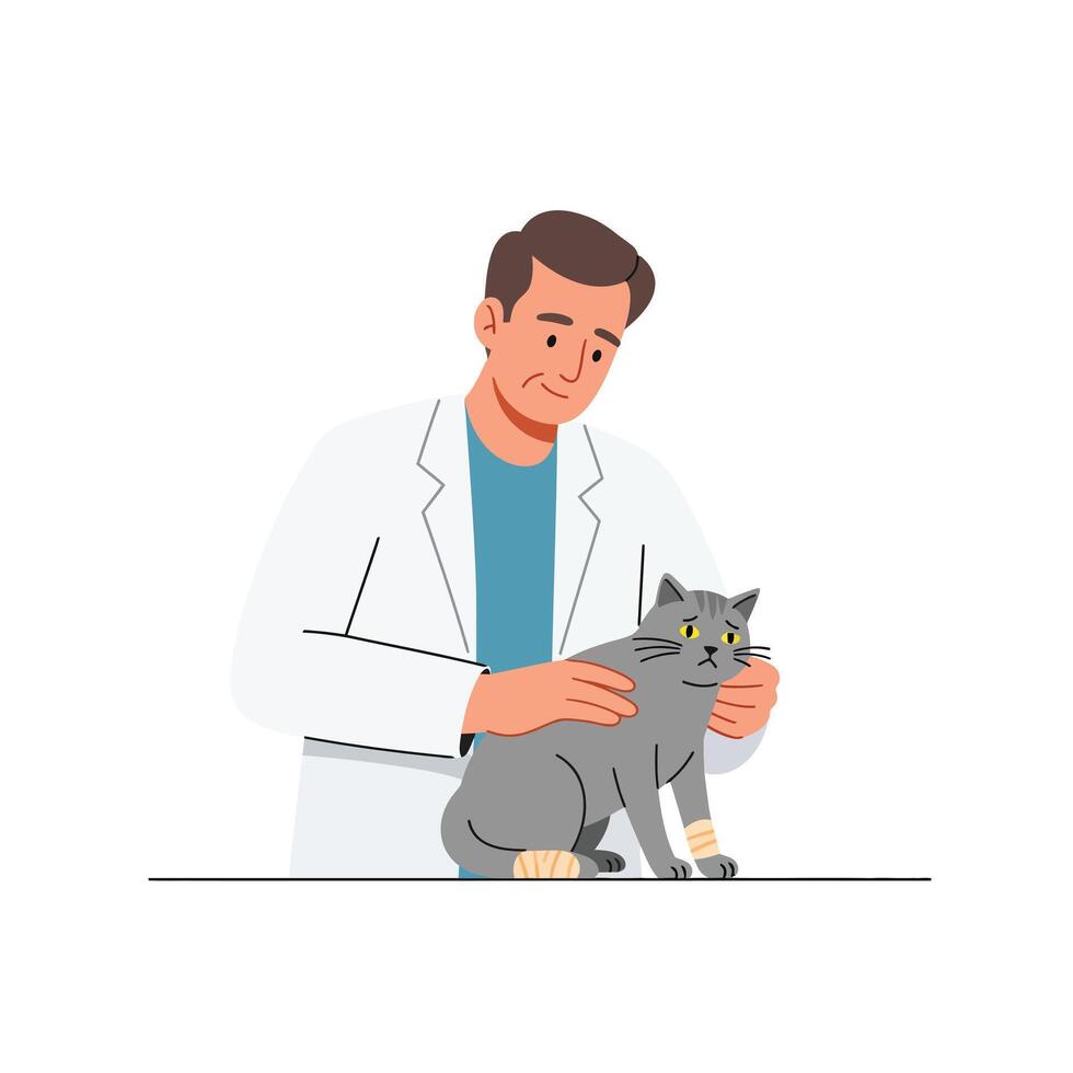 Veterinarian caring for a cat in minimal flat design art vector