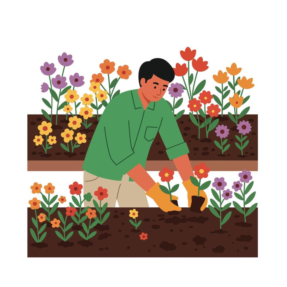 Man planting flowers in garden beds with flat design style illustration vector