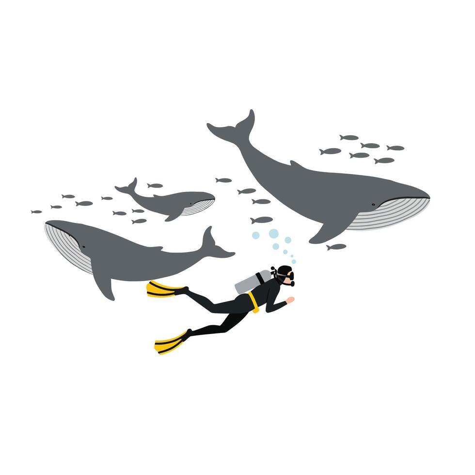 Diver exploring underwater scene with whales in flat illustration vector