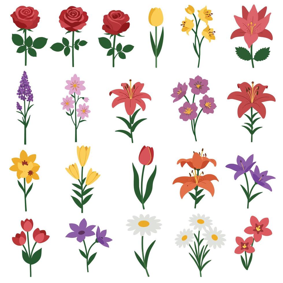 Colorful floral arrangement featuring roses, lilies, tulips, and daisies in a detailed illustration vector