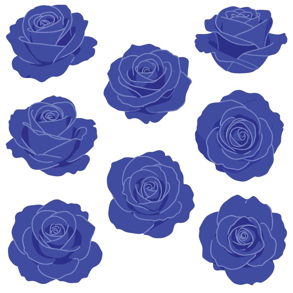 Blue roses arranged in a minimal style with detailed outlines in art vector