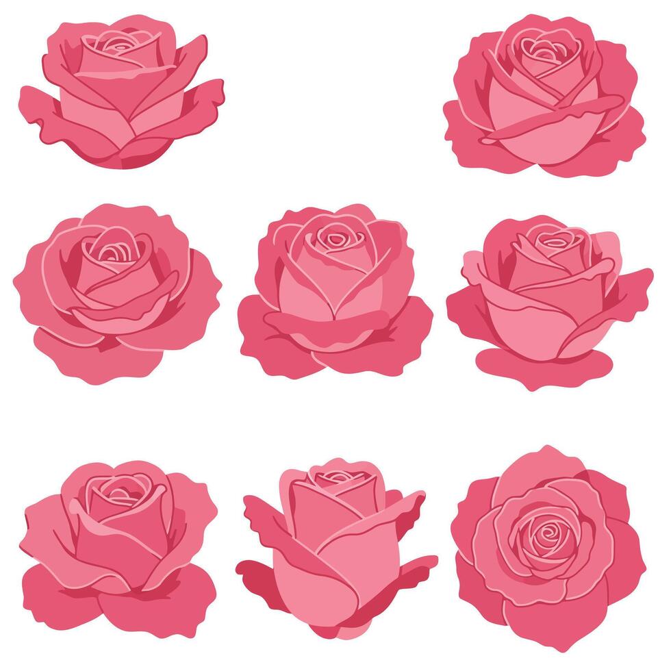 Pink rose illustrations showcasing detailed art in a flat design style with varying shapes and sizes vector