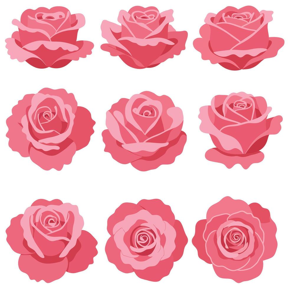 Pink roses in various arrangements with flat design style art vector