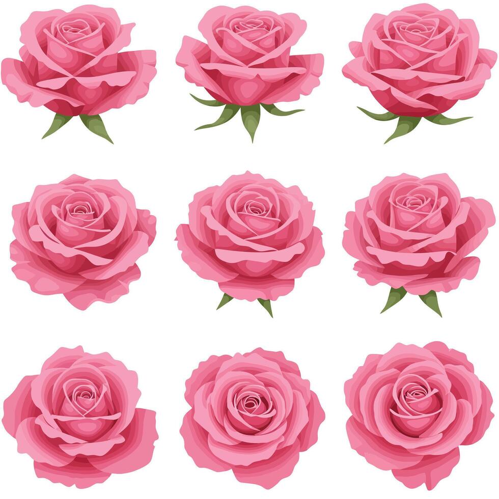 Detailed pink rose flowers arranged in a grid pattern showcasing flat illustration vector