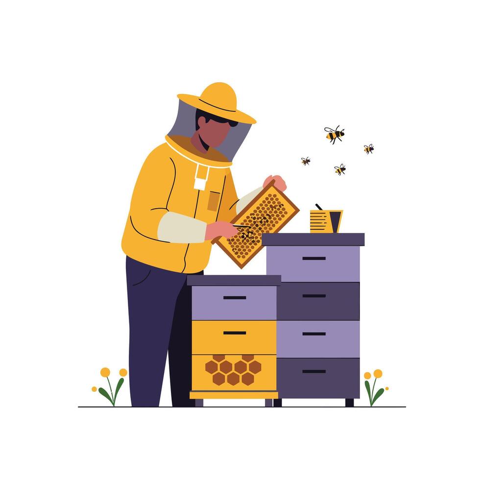 Beekeeper inspecting honeycomb frames in flat illustration style vector