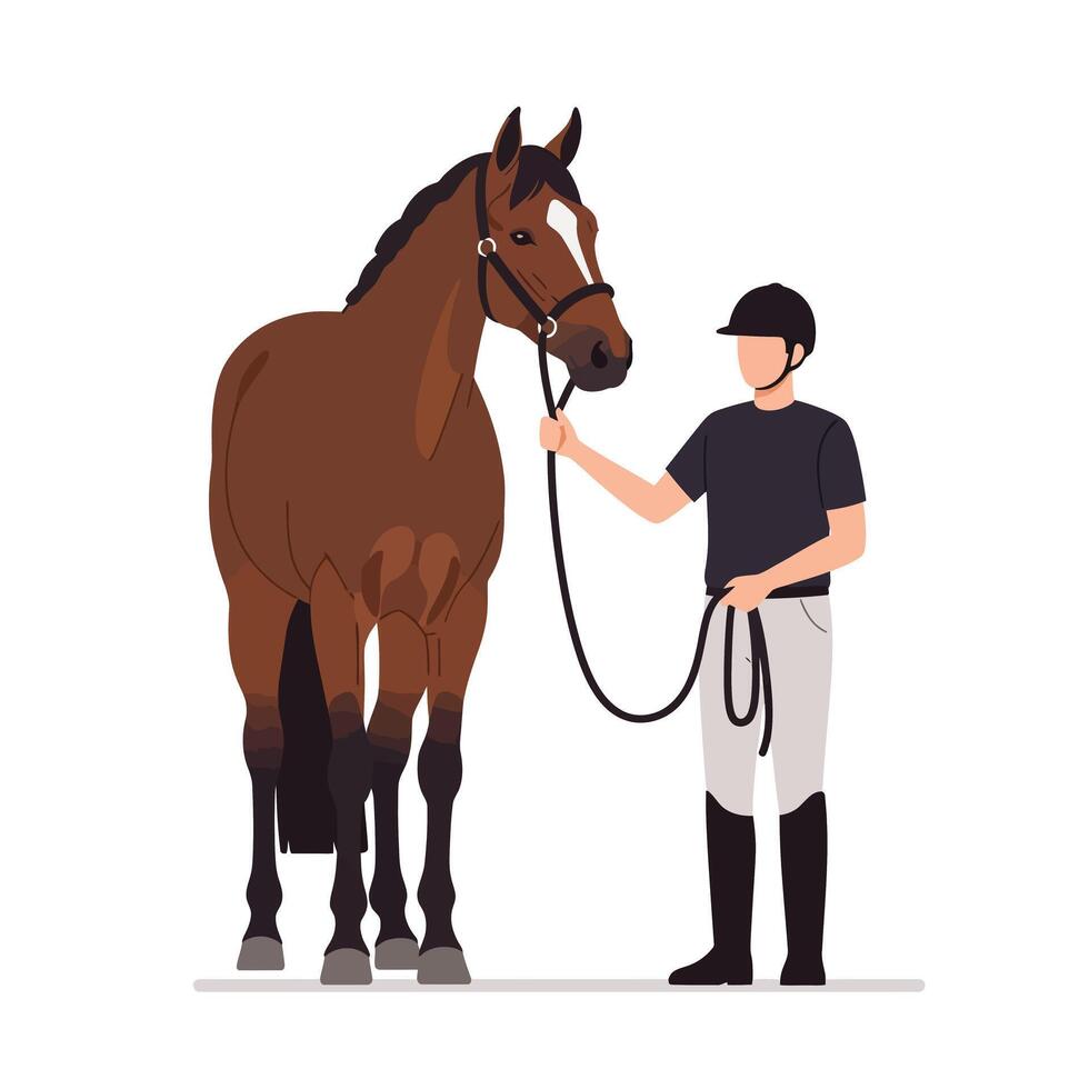 Horse and rider interaction in flat design style art vector