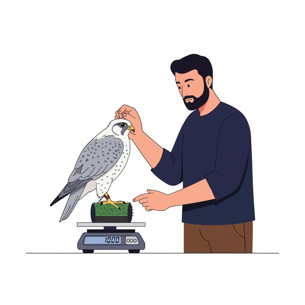 Falcon being weighed by a man in flat art style vector