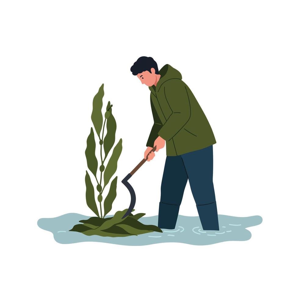 Person in green coat harvesting aquatic plants in flat illustration vector