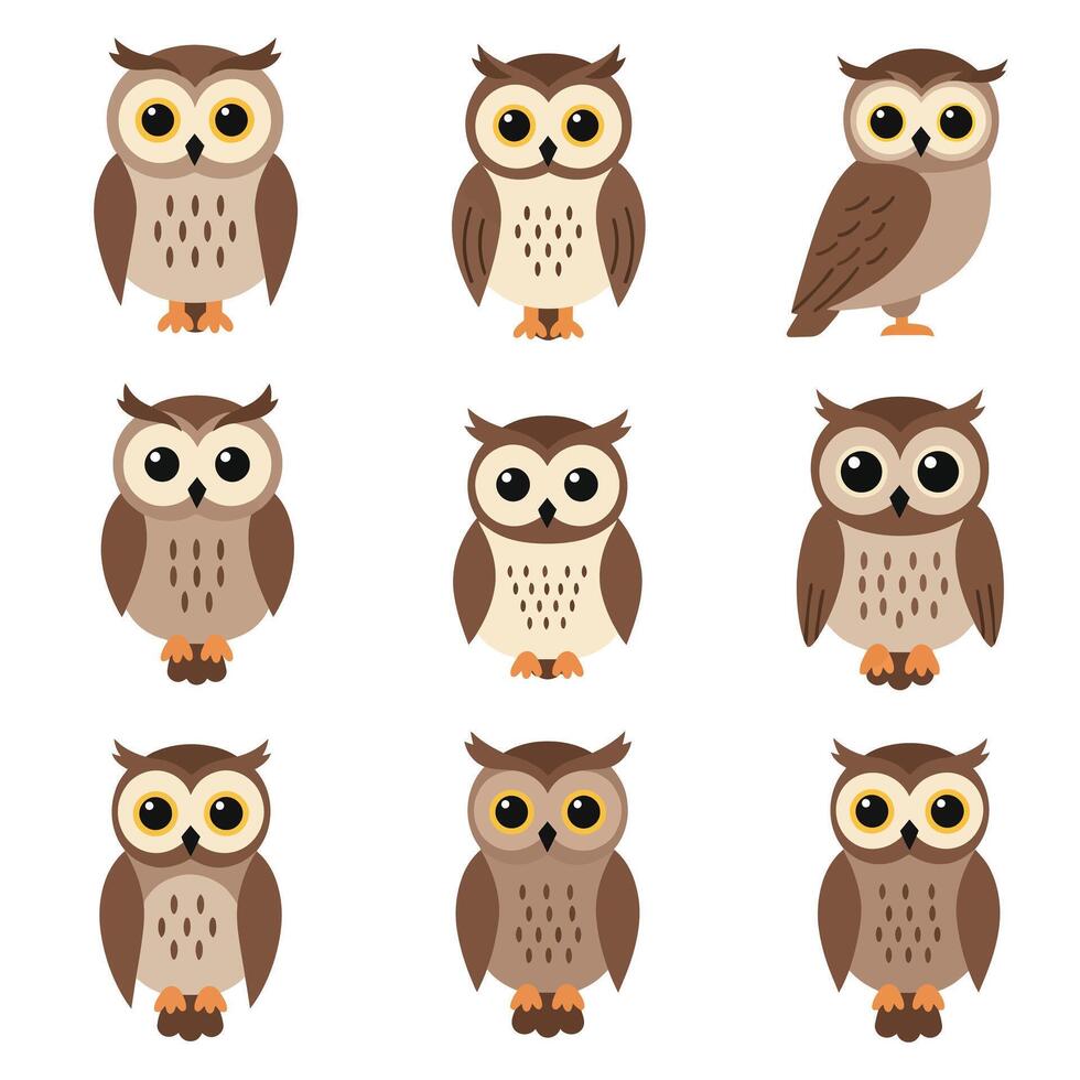 Cute owl characters in minimal style showcasing various expressions and poses illustration vector