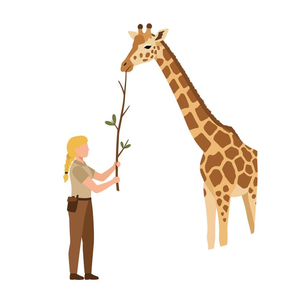 Giraffe interacting with caretaker in flat illustration style vector