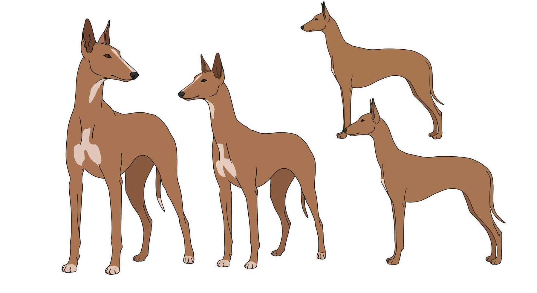 Detailed illustration of elegant dogs showcasing various poses in flat design style art vector