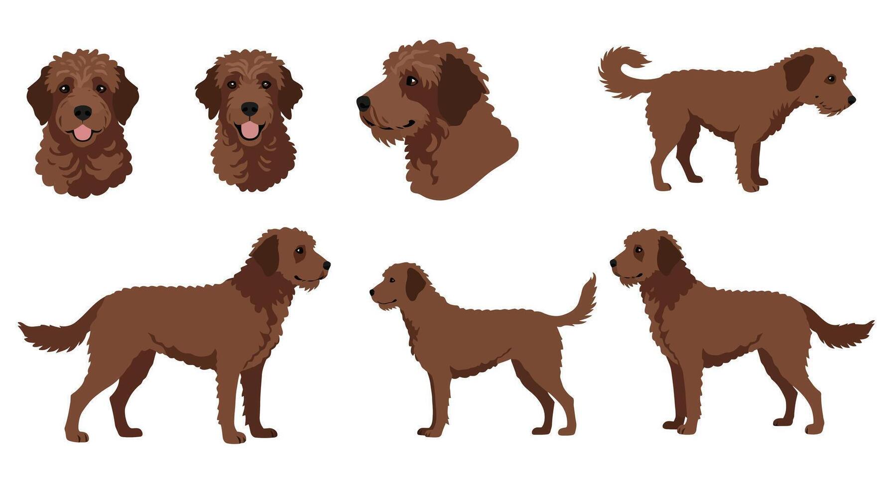 Brown dog illustrations showcasing different poses in flat and minimal art vector
