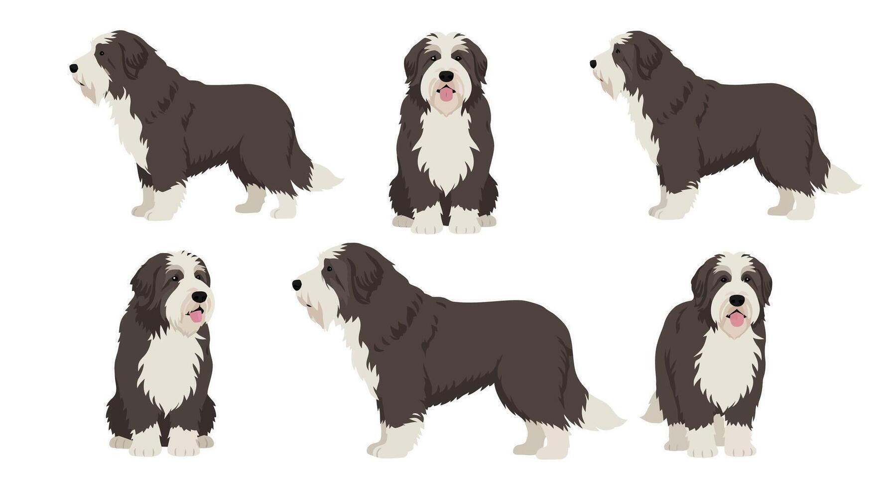 Detailed illustration of a dog in various poses showcasing flat design style vector