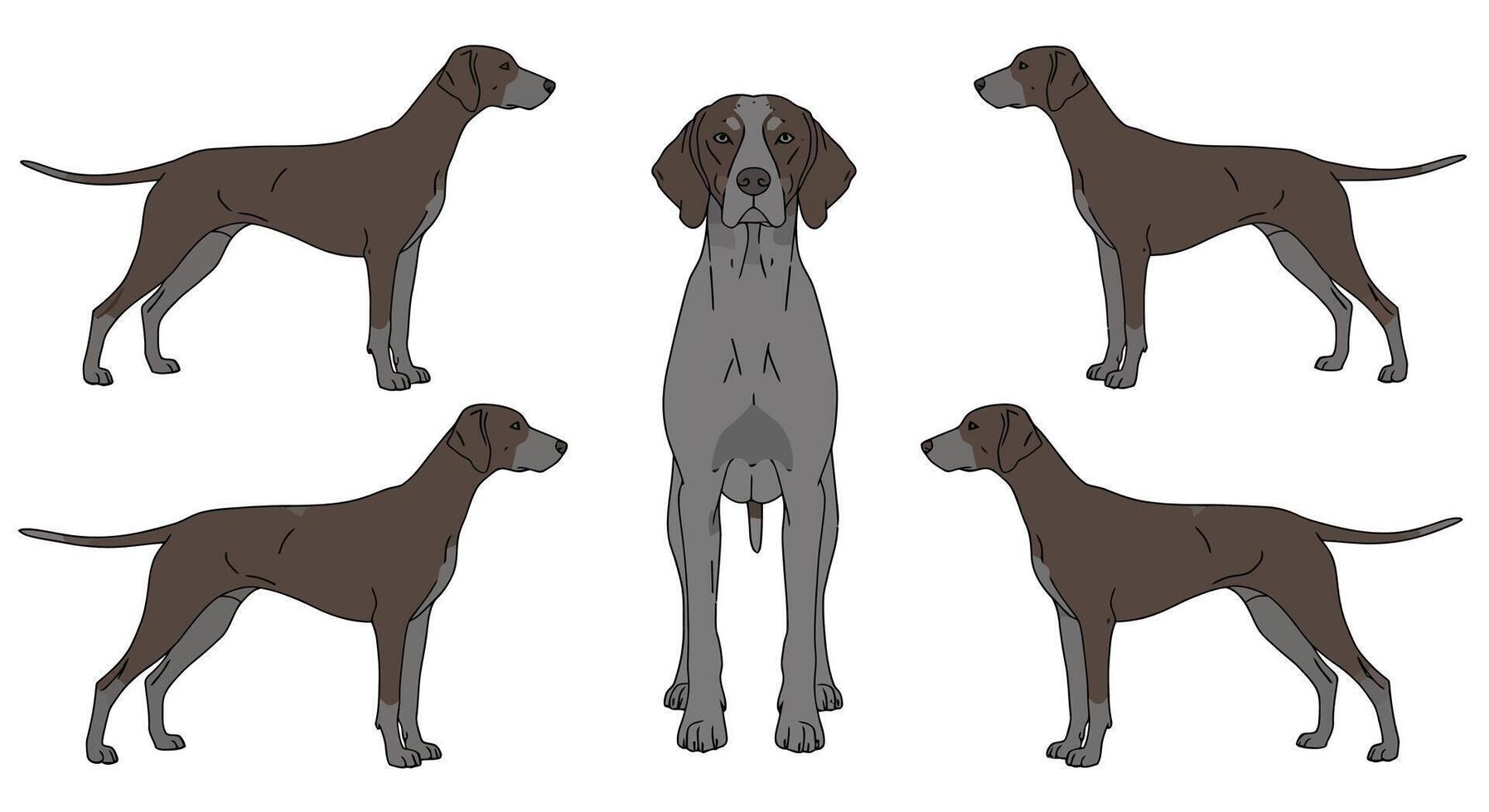 Four playful dogs in various poses in detailed illustration vector