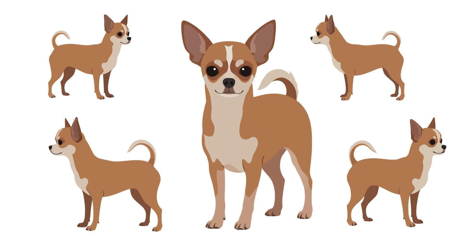 Detailed illustration of cute Chihuahua dogs in various playful poses and expressions art vector