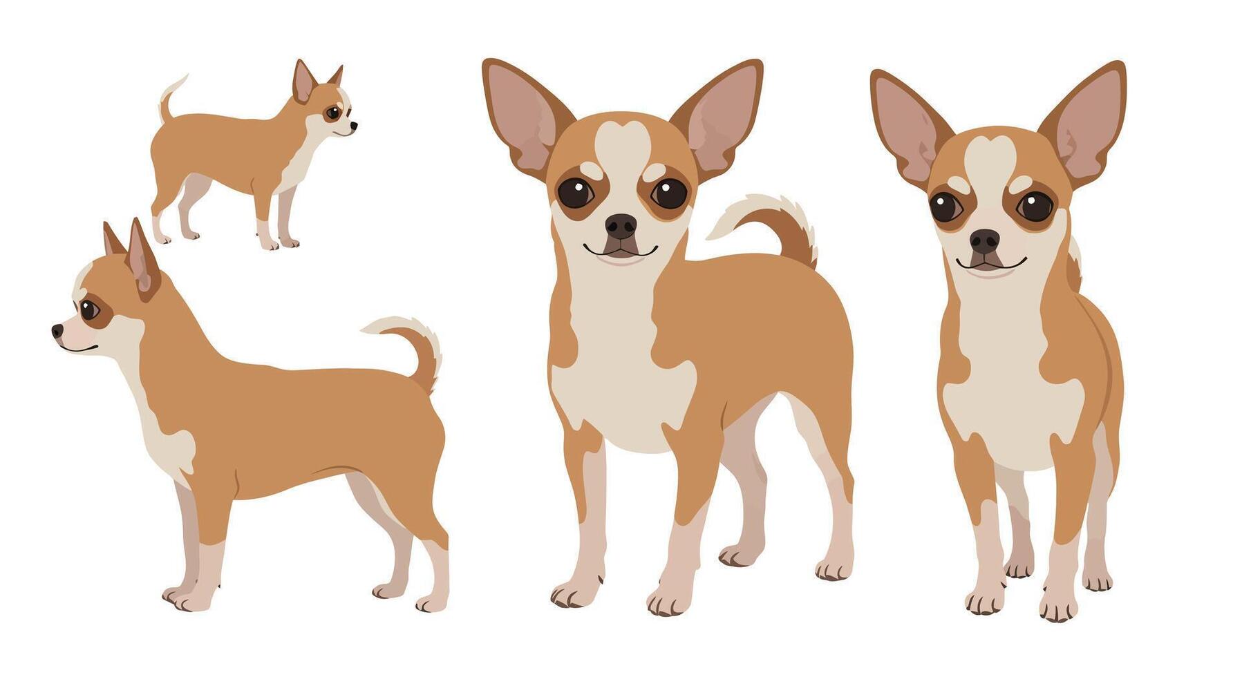 Cute chihuahua dog character design in flat style illustration vector