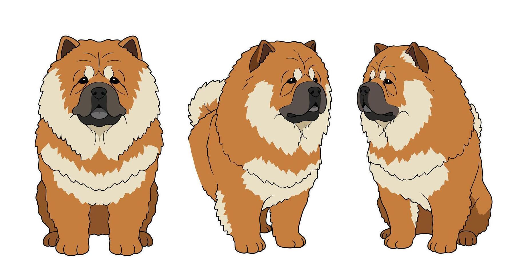 Detailed illustration of a Chow Chow dog in flat art style vector