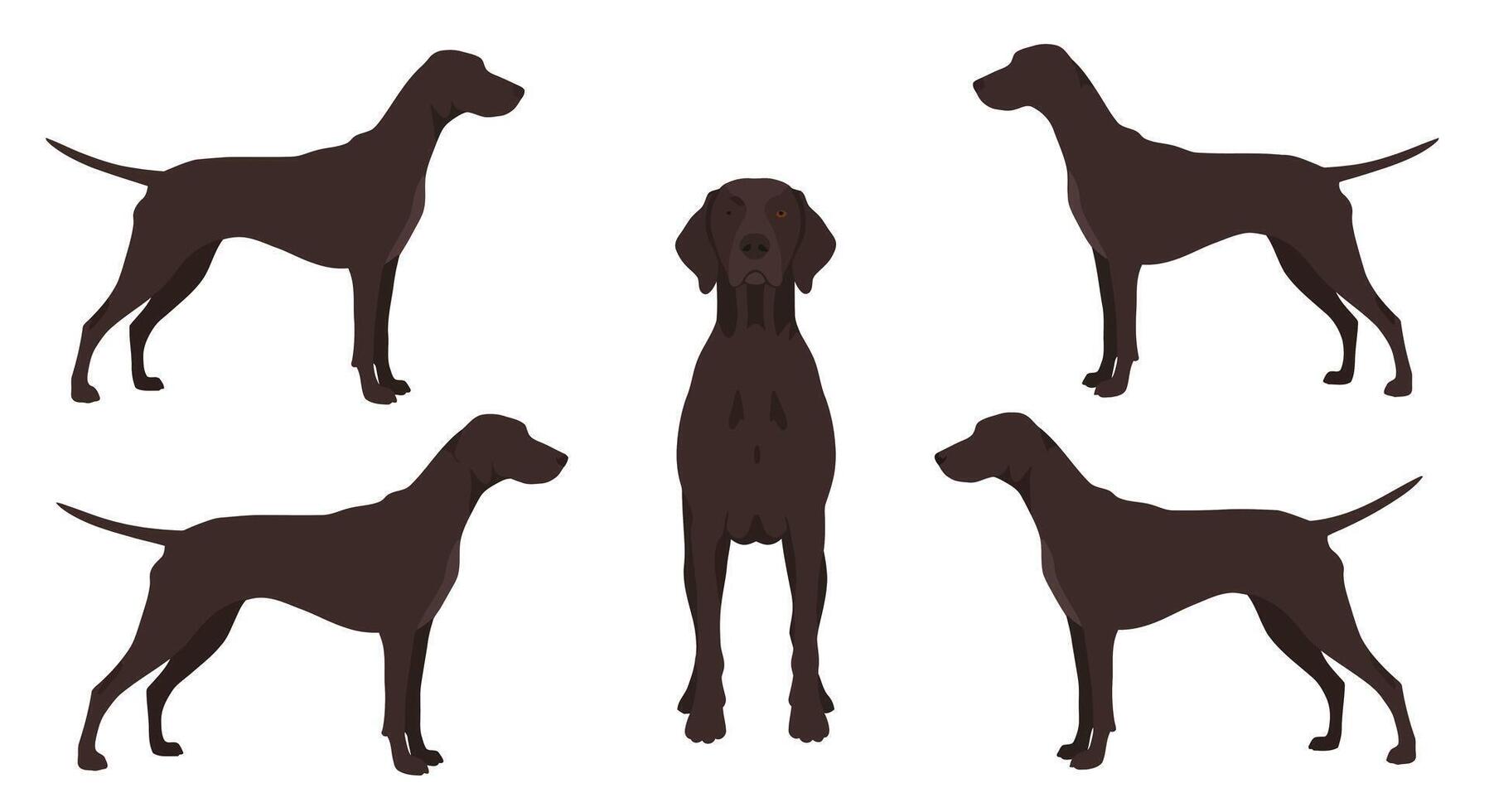 Four playful dogs in various poses showcasing flat design style illustration vector