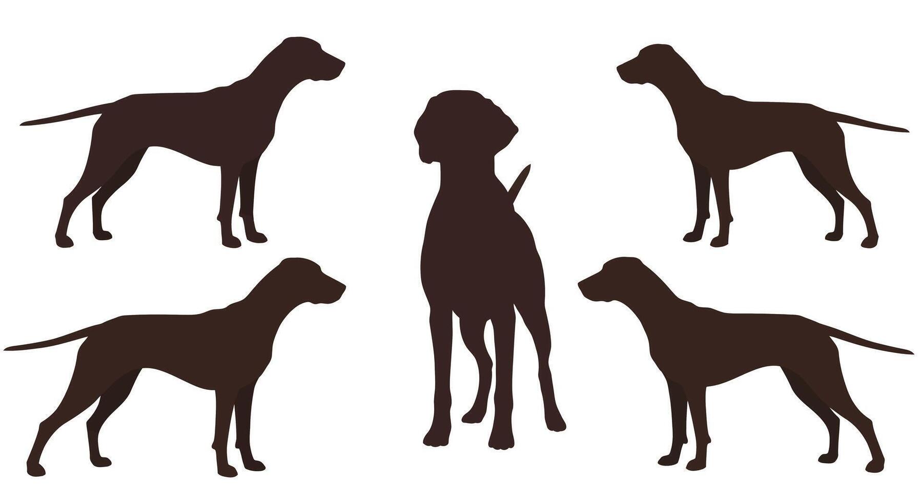 Dogs in various poses showcasing flat design style art vector