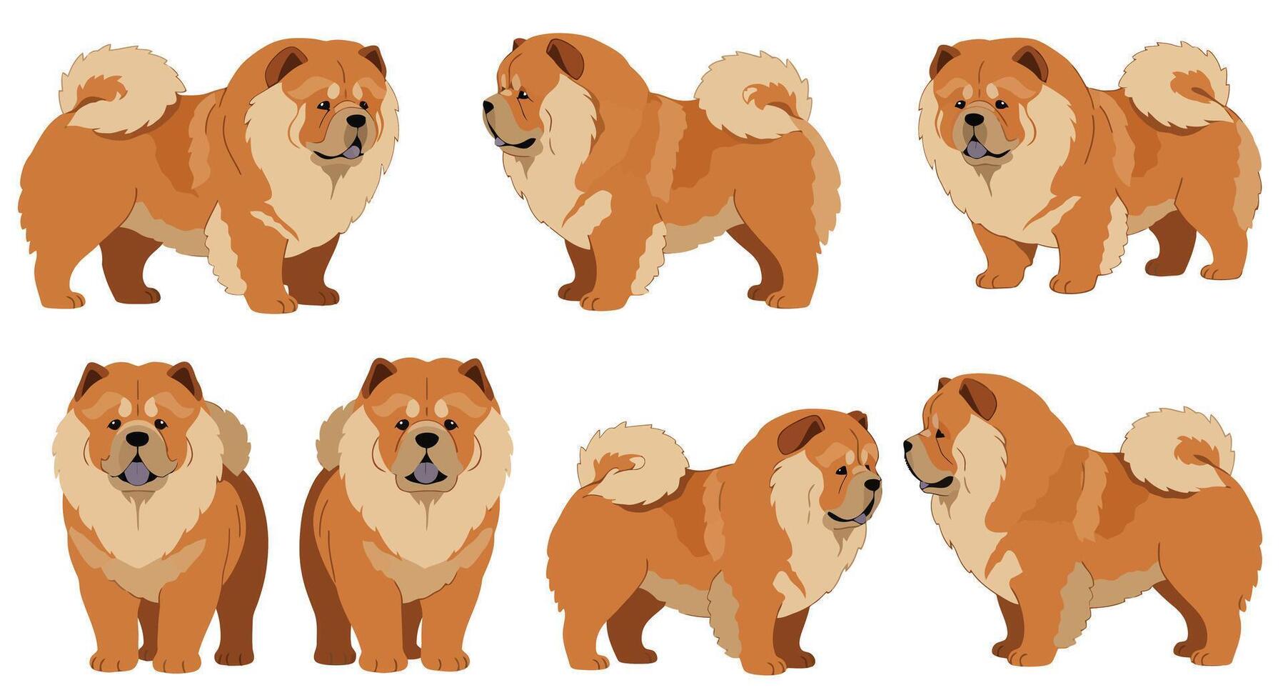 Detailed illustration showcasing different poses of a fluffy dog in flat design style art vector