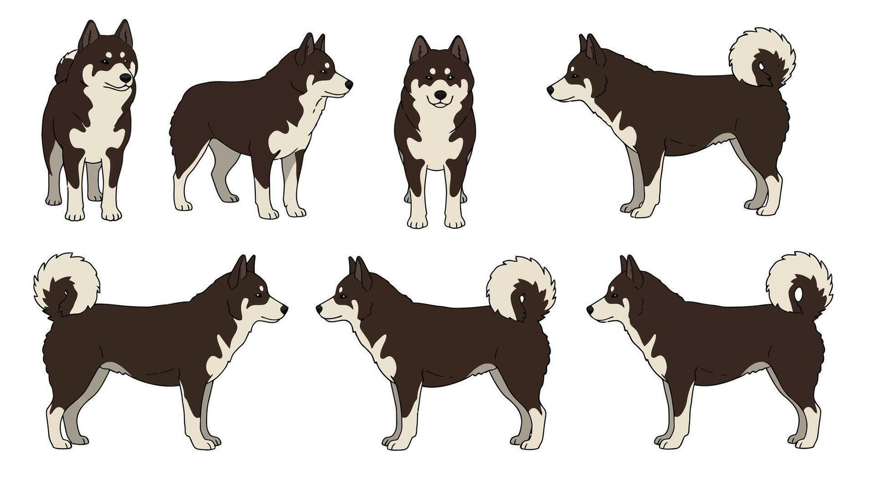 Dog character in various poses depicted in flat art style with detailed features vector