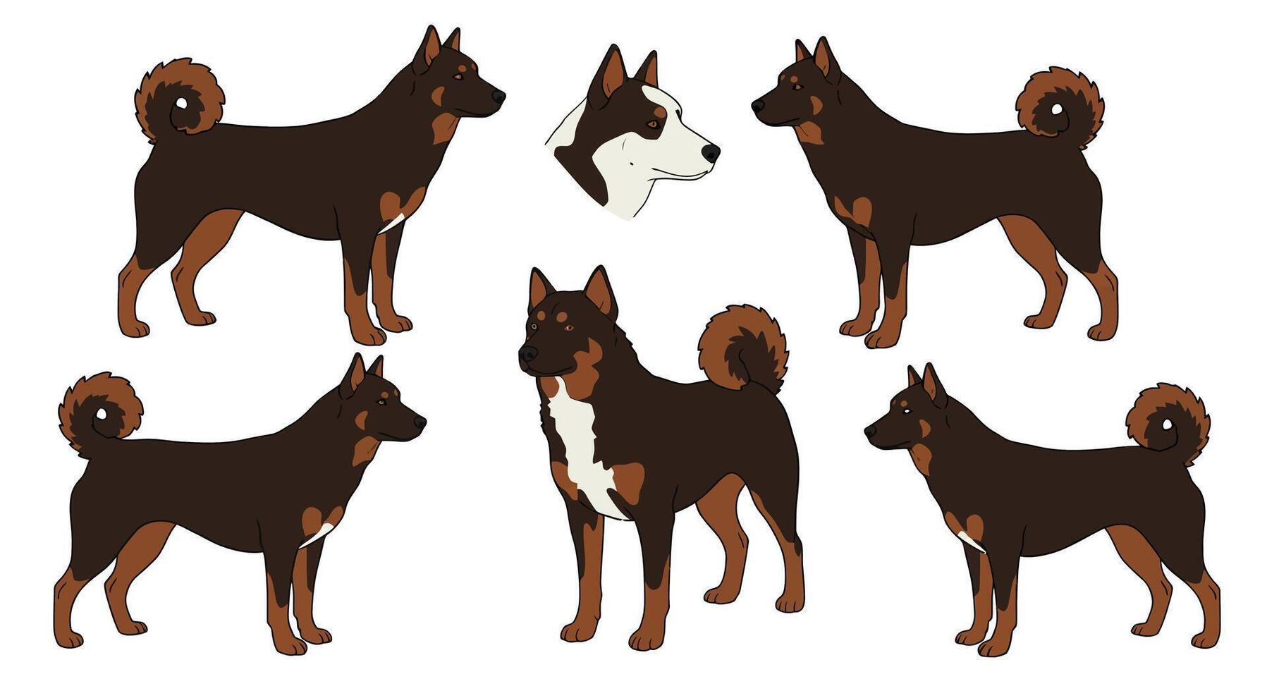 Detailed illustration of a dog in various poses and angles, flat art vector