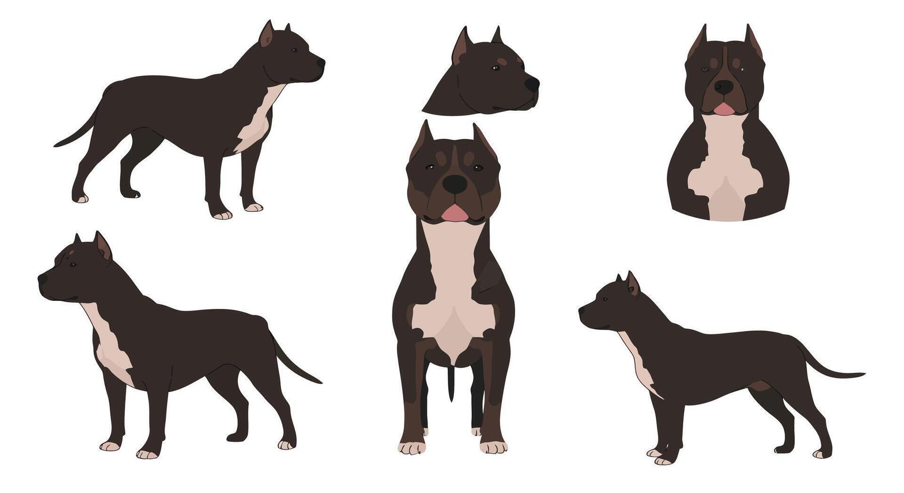 Detailed illustration showcasing a dog in various poses and angles with flat design style vector