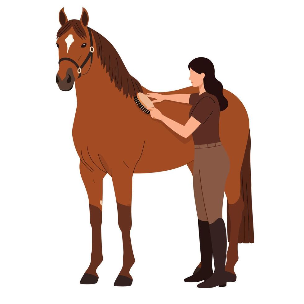 Person grooming a horse in flat, minimal style art vector