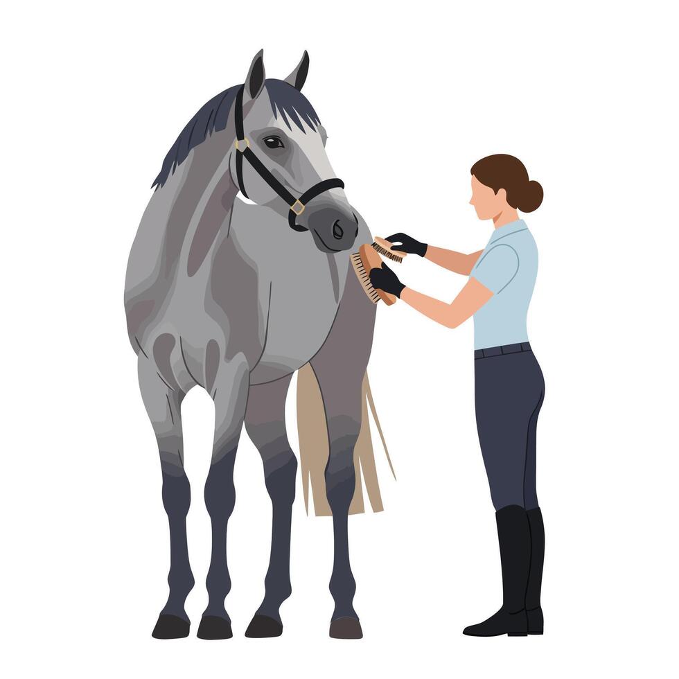 Horse grooming process illustrated in flat art style with detailed features vector