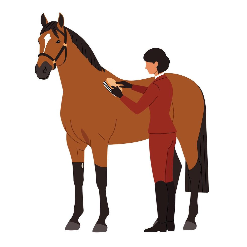 Horse grooming scene featuring a rider in flat art style vector