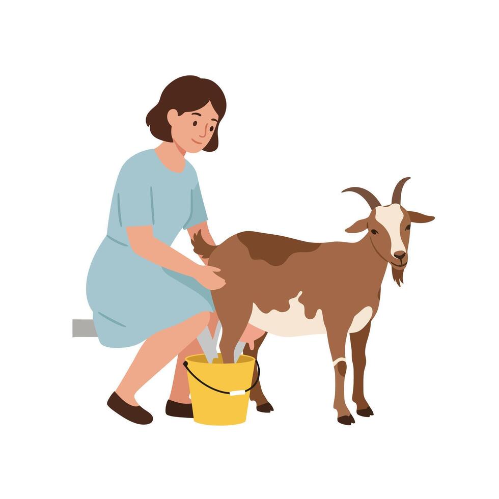 Woman milking a goat in flat, minimal illustration style showcasing farm life vector
