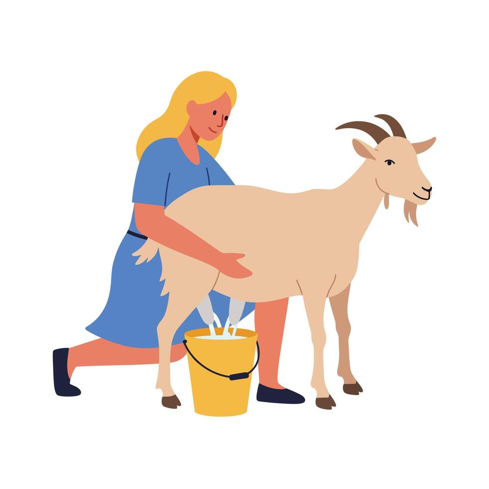 Woman milking goat in flat design style art vector