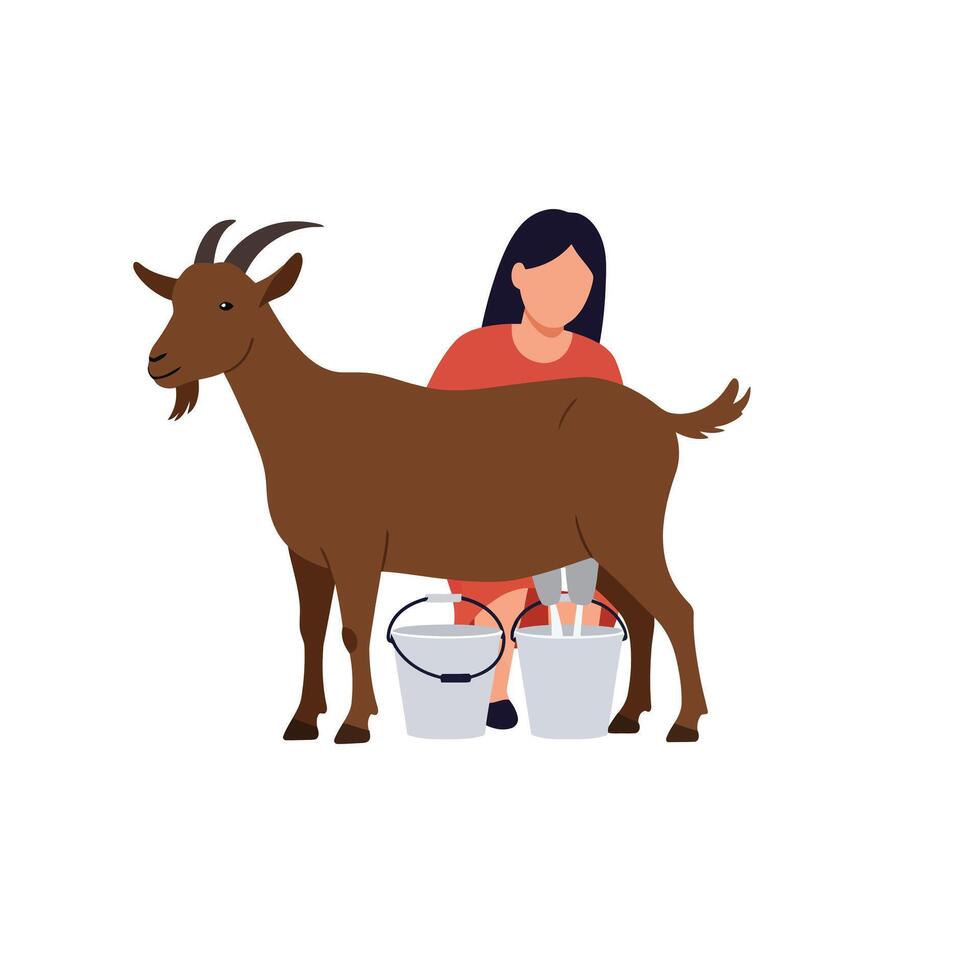 Goat milk production scene with farmer in flat art style vector