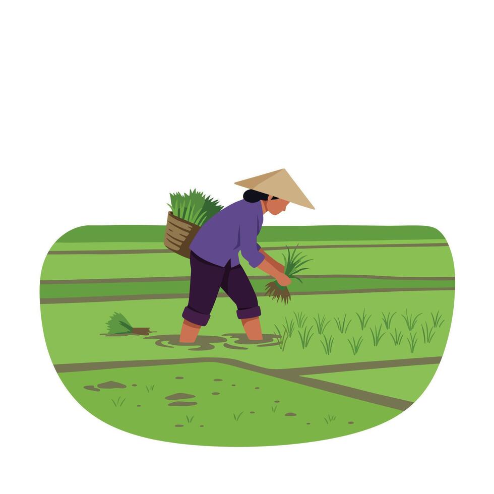 Farmer planting rice in lush green fields with flat art style illustration vector
