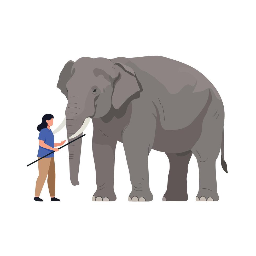 Elephant standing next to trainer in flat, minimal art illustration vector