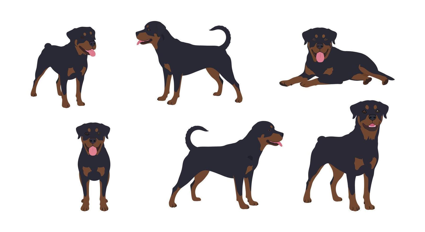 Rottweiler dog poses in flat art style showcasing different expressions and stances illustration vector